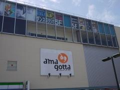 アマゴッタ