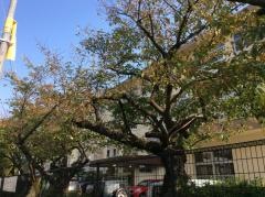 高取小学校