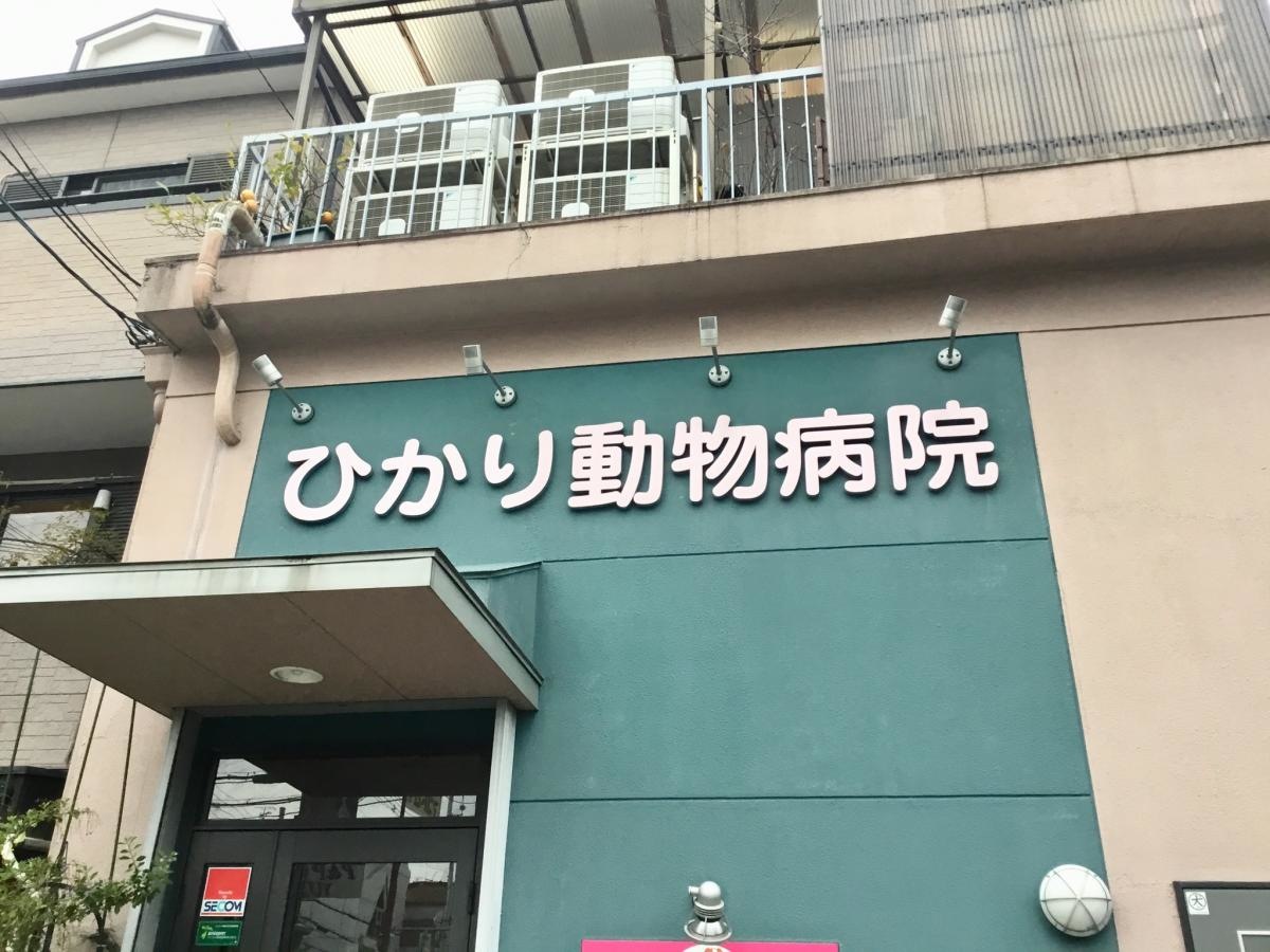 ひかり動物病院