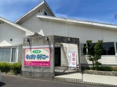 キッチンキドニー
