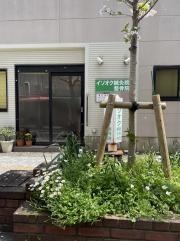 イソオク鍼灸整骨院