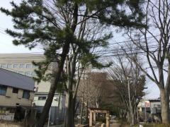 山王帯状緑地