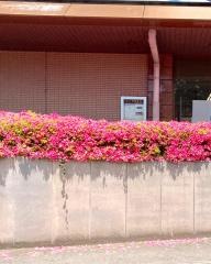 栃木信用金庫藤岡支店