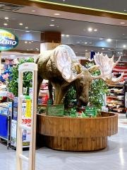 スーパースポーツゼビオ　スマーク伊勢崎店