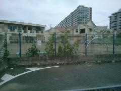 稲毛海岸保育所