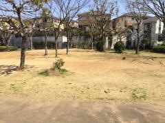 弁天池公園