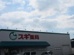スギ薬局　笠松店