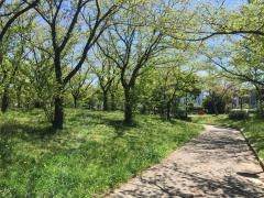 宝神中央公園