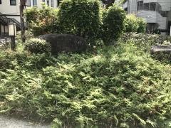 日ノ出街園