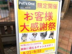 ペッツワン　城山店