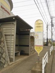 「ひかり幼稚園前」バス停留所