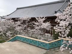 「雲上殿」バス停留所
