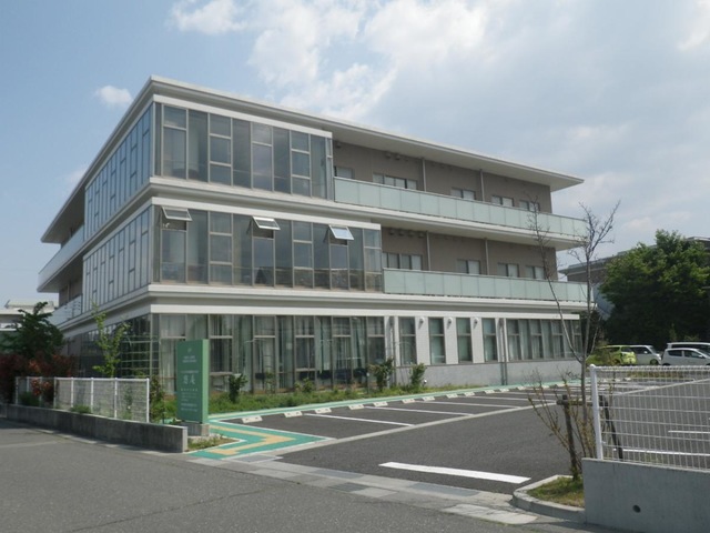 悠庵