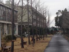 加須市立加須北中学校