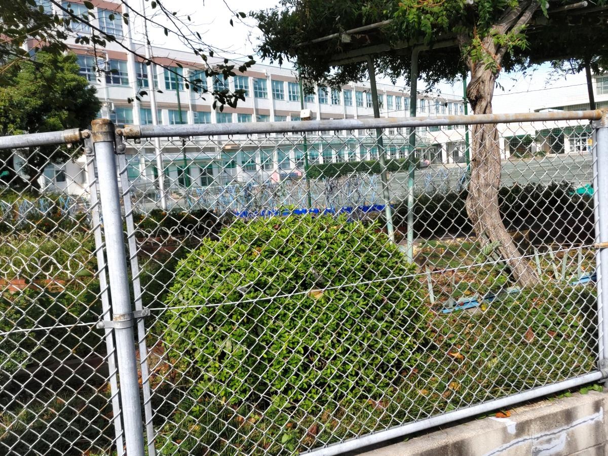 大野木小学校