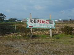 多田りんご園