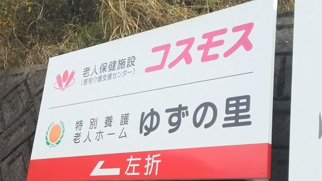 コスモス