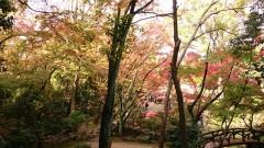 日泰寺庭園