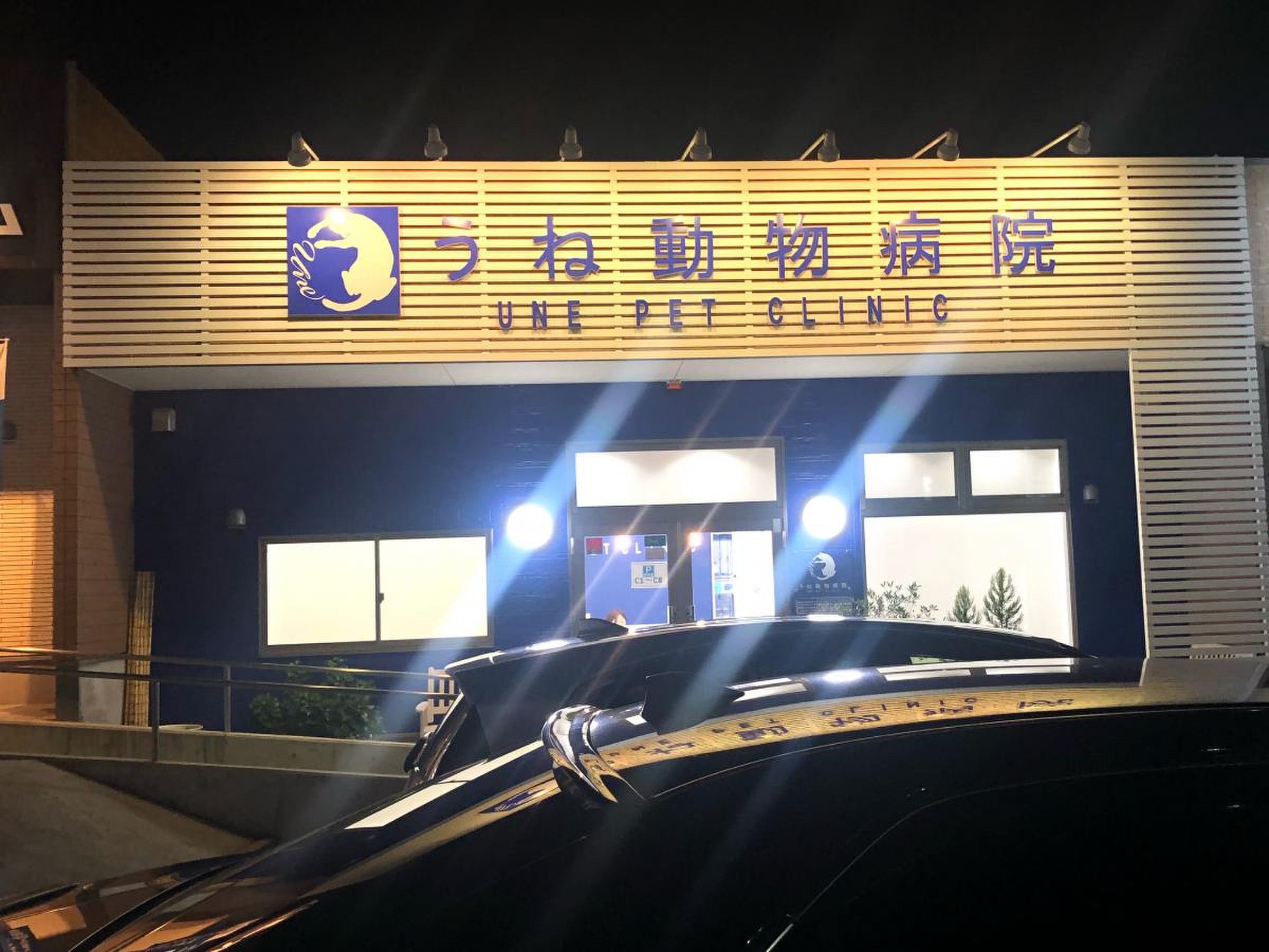 当時のメディア報道・掲載写真