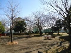 青柳公園