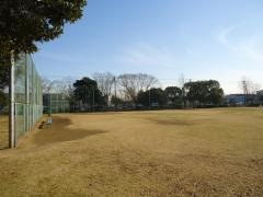 青柳公園