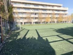 東京成徳大学高等学校
