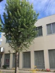 あいち銀行　守山中央支店