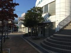 いせき整形外科