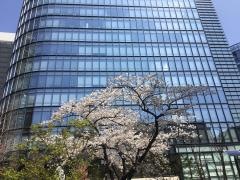 株式会社ＮＳＤ