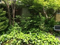 カフェ・ド・モエ