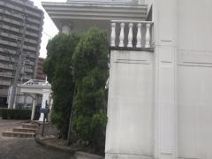 セント・ルーク教会