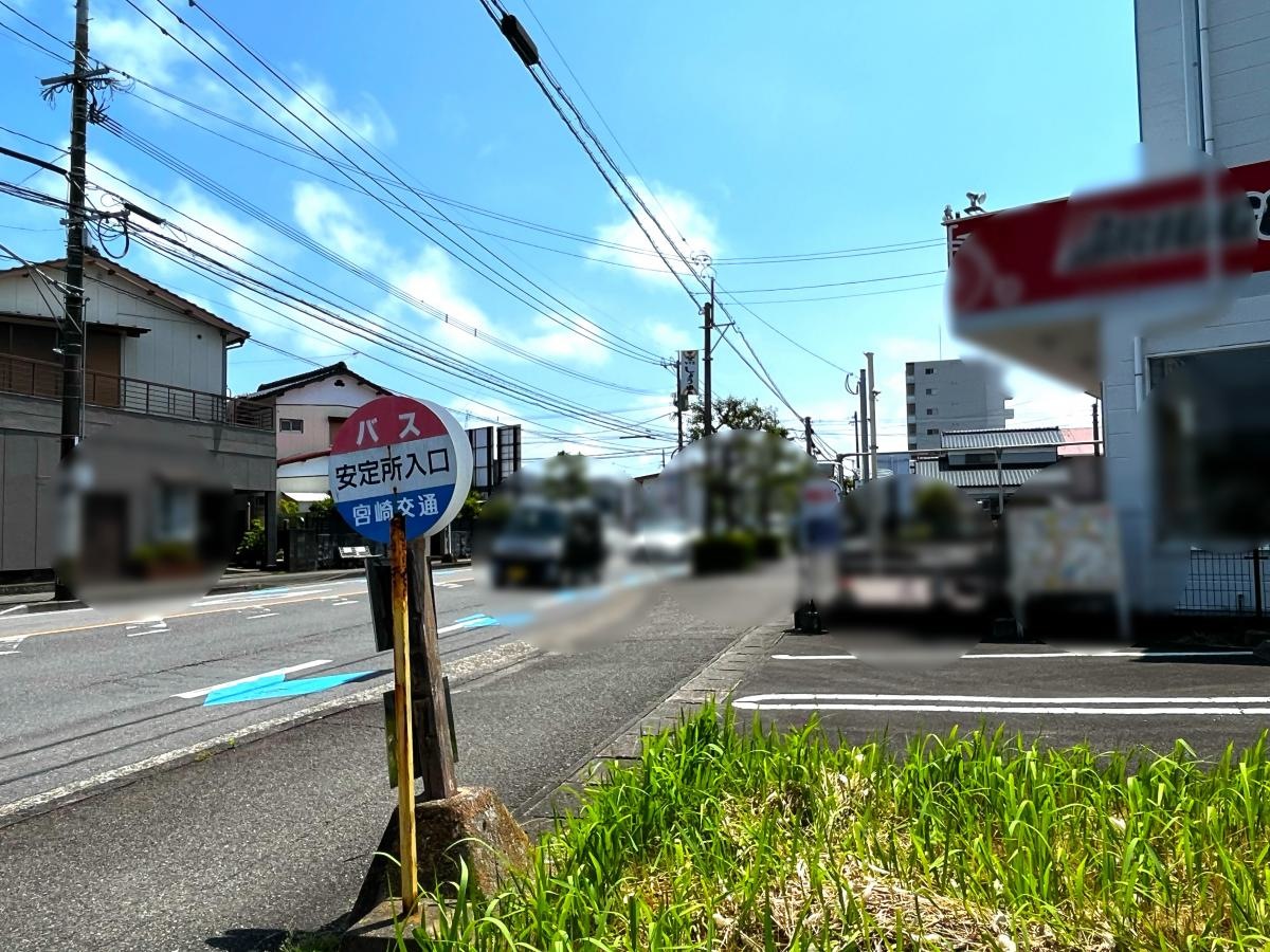 全体