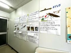 ＥＱＷＥＬチャイルドアカデミー　本厚木教室
