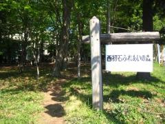 流山市立中央図書館初石分館