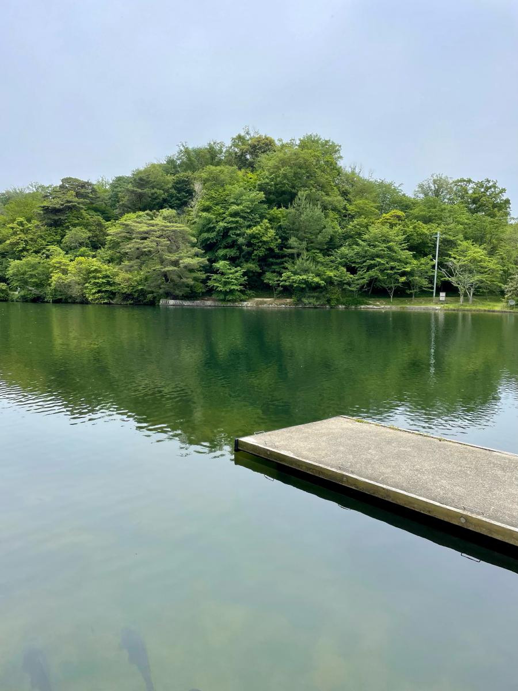 くろ ん ど 池