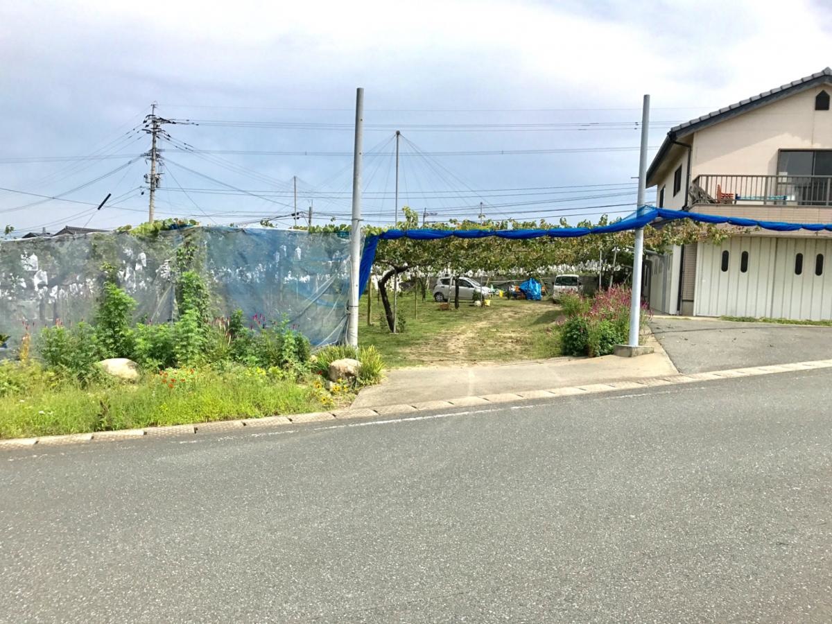 西巨峰園