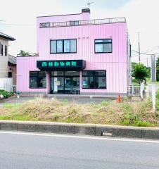 さいじょう動物病院
