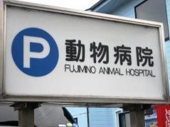 ふじみ野動物病院