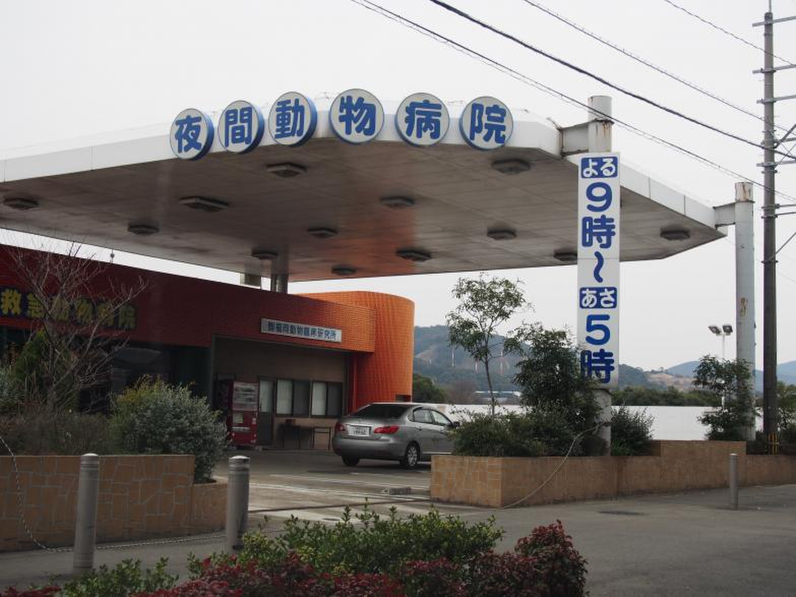 福岡 夜間 動物 病院