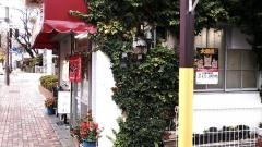 すみれ食堂