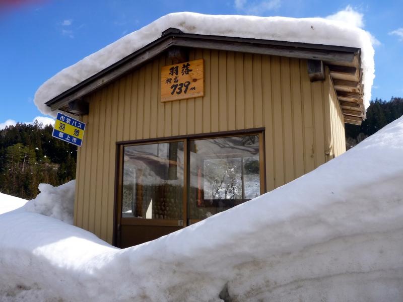 バス停について
