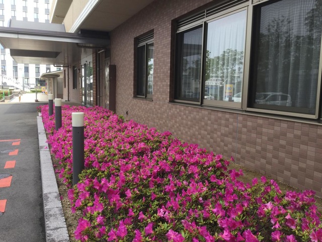 ニチイケアセンター名古屋みなと 施設外観