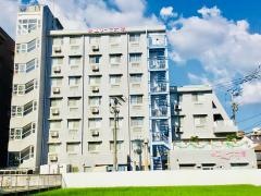 エリーぜ大橋