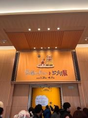 三重県総合博物館