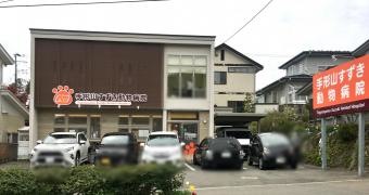 手形山　すずき動物病院