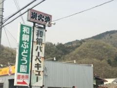 和銅ぶどう園