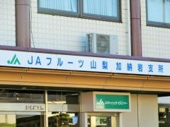 ＪＡフルーツ山梨加納岩支所