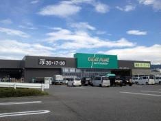 カインズ　伊那店