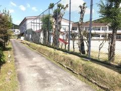 上川口小学校