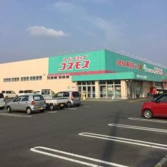 ドラッグストアコスモス　八女本町店
